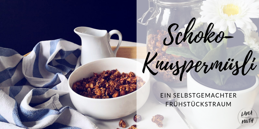 Schoko-Knuspermüsli – Ein selbstgemachter Frühstückstraum